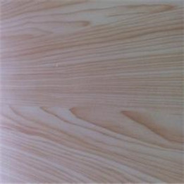 u=458403186,3042295870&fm=21&gp=0.jpg